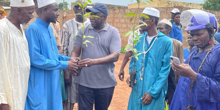 Tambacounda : le maire encourage les habitants de la ville à souvent planter des arbres