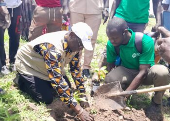 Kouar (Goudiry) : [Vidéo] Lutte contre la pauvreté (…) /L’ONG TREES FOR THE FUTURE développe l’approche « jardins forêts »