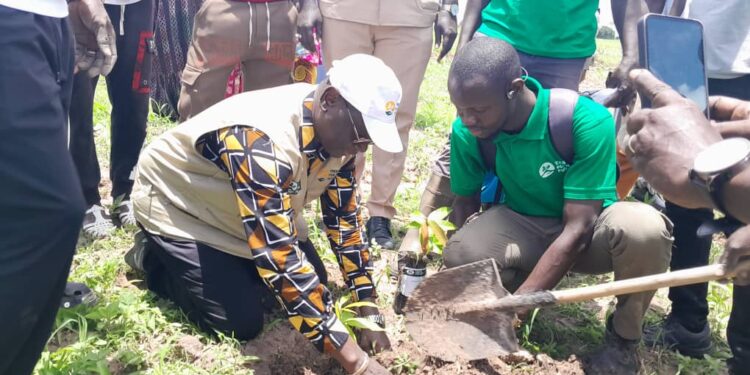 Kouar (Goudiry) : [Vidéo] Lutte contre la pauvreté (…) /L’ONG TREES FOR THE FUTURE développe l’approche « jardins forêts »