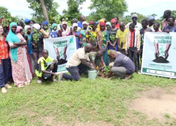 Tambacounda : Am Bé Koun Solidarité renforce les activités de reboisement dans son champ école expérimental