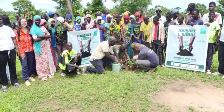 Tambacounda : Am Bé Koun Solidarité renforce les activités de reboisement dans son champ école expérimental