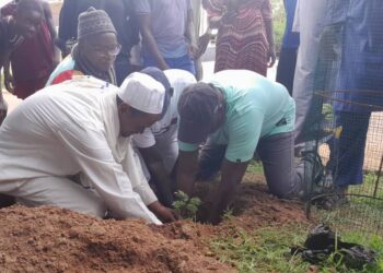 Tambacounda : Campagne de reboisement « Tamba ville verte »/Gourel Diadié reçoit la caravane du Maire Papa Banda Diéye