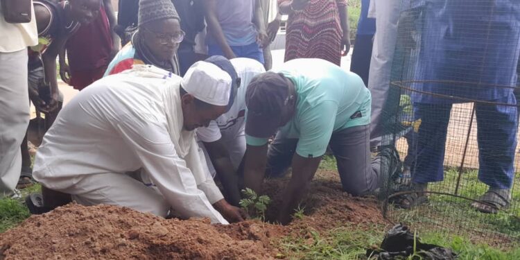 Tambacounda : Campagne de reboisement « Tamba ville verte »/Gourel Diadié reçoit la caravane du Maire Papa Banda Diéye