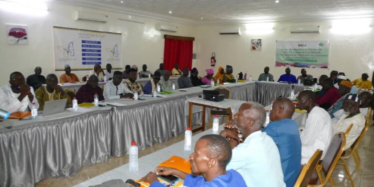 Tambacounda/ActionAid et Partenaires : Financement de l’Education/Des CGE en conclave pour des PAV