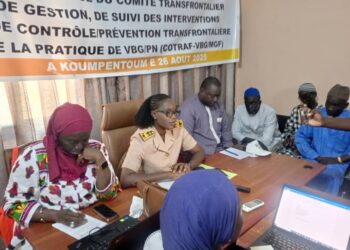 Koumpentoum : Lutte contre les VBG et les Pratiques Néfastes/ Un comité transfrontalier mis en place