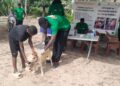 Tambacounda : Le Projet Lycaon célèbre la journée de lutte contre la rage célébrée et déroule une campagne de vaccination de chiens
