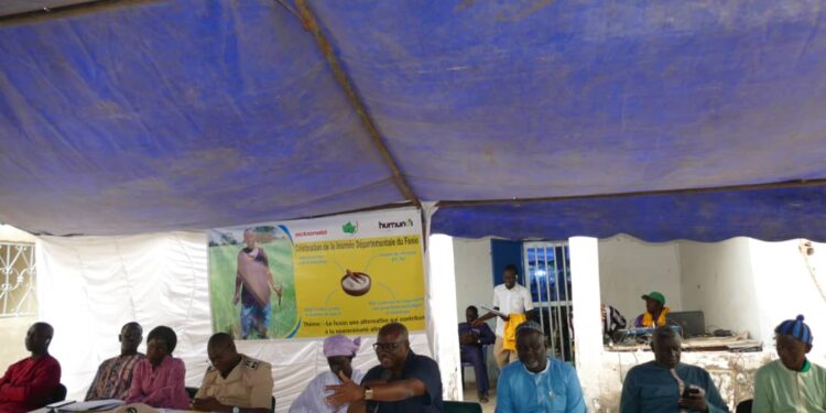 Koussanar : La Fédération Yakaar Niani Wuli célèbre la 6e édition de la journée du fonio/Les difficultés du sous-secteur exposées