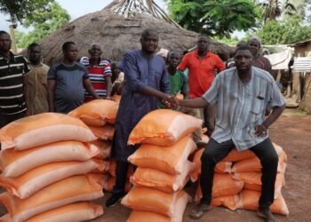 KEDOUGOU : Qui pour remplacer les semi mécanisées le long de la Falémé en termes de retombées économiques et sociales ?