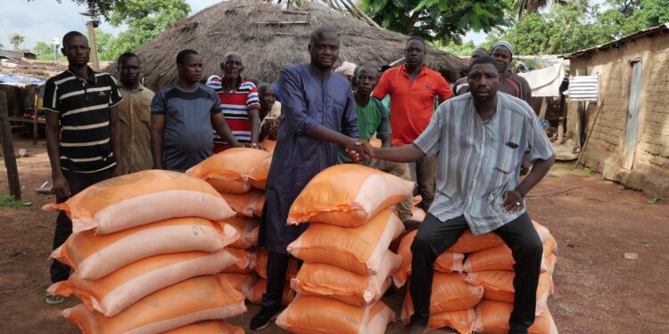 KEDOUGOU : Qui pour remplacer les semi mécanisées le long de la Falémé en termes de retombées économiques et sociales ?