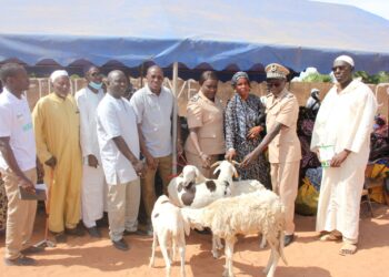 Koumpentoum : Le PADAER 2 distribue 400 petits ruminants au profit des OP SPAM Elevage.