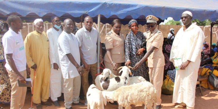 Koumpentoum : Le PADAER 2 distribue 400 petits ruminants au profit des OP SPAM Elevage.