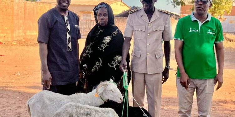 Goudiry : 400 petits ruminants mis à la disposition des OP par le PADAER II