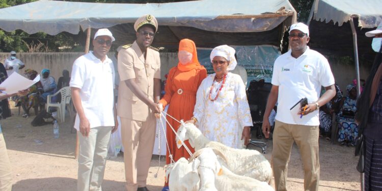 Tambacounda/Sinthiou Maléme : Des OP reçoivent des petits ruminants du PADAER II
