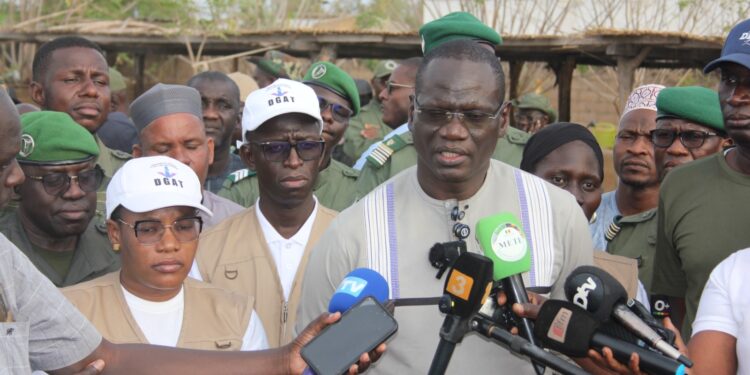 Tambacounda : Abdourahmane Diouf, le Ministre de l’environnement s’imprègne de la situation environnementale de la région