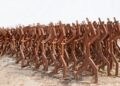 Exposition « Il était une fois, Gaza », Ousmane Dia le plasticien sénégalo-suisse, pour une conscience collective